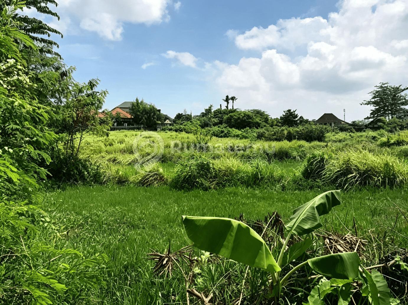 Ready For Sale Lahan Premium Siap Bangun di Umalas Badung Bali