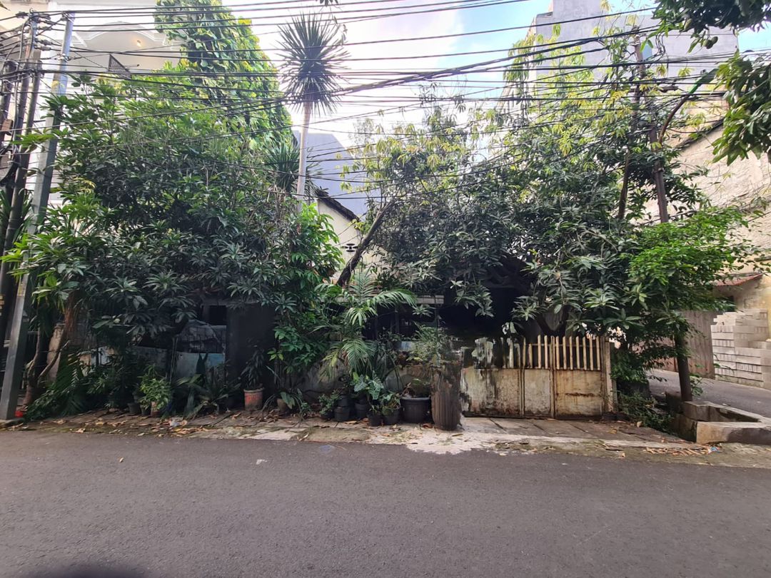 Rumah Tua Petojo Viy