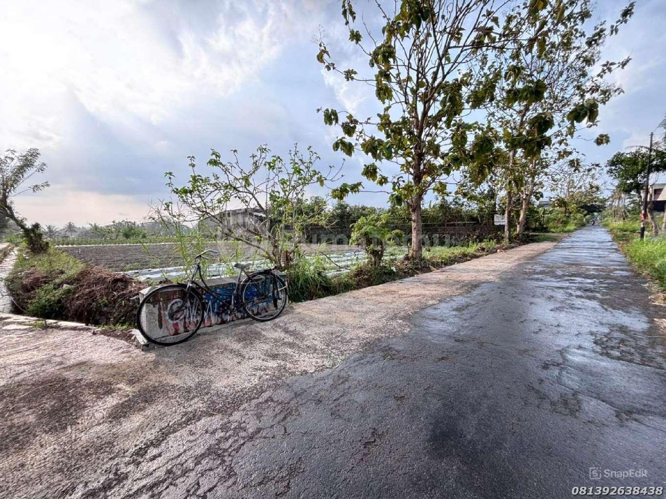 Tanah Jogja Asri View Sawah Jalan Utama Cocok Villa & Kos Eksklusif