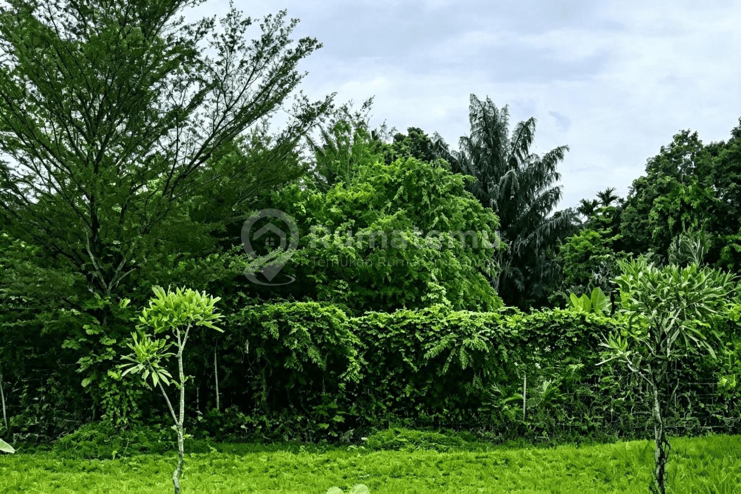 Kavling di Anggrek Loka, BSD, bisa Buat Kos Kosan