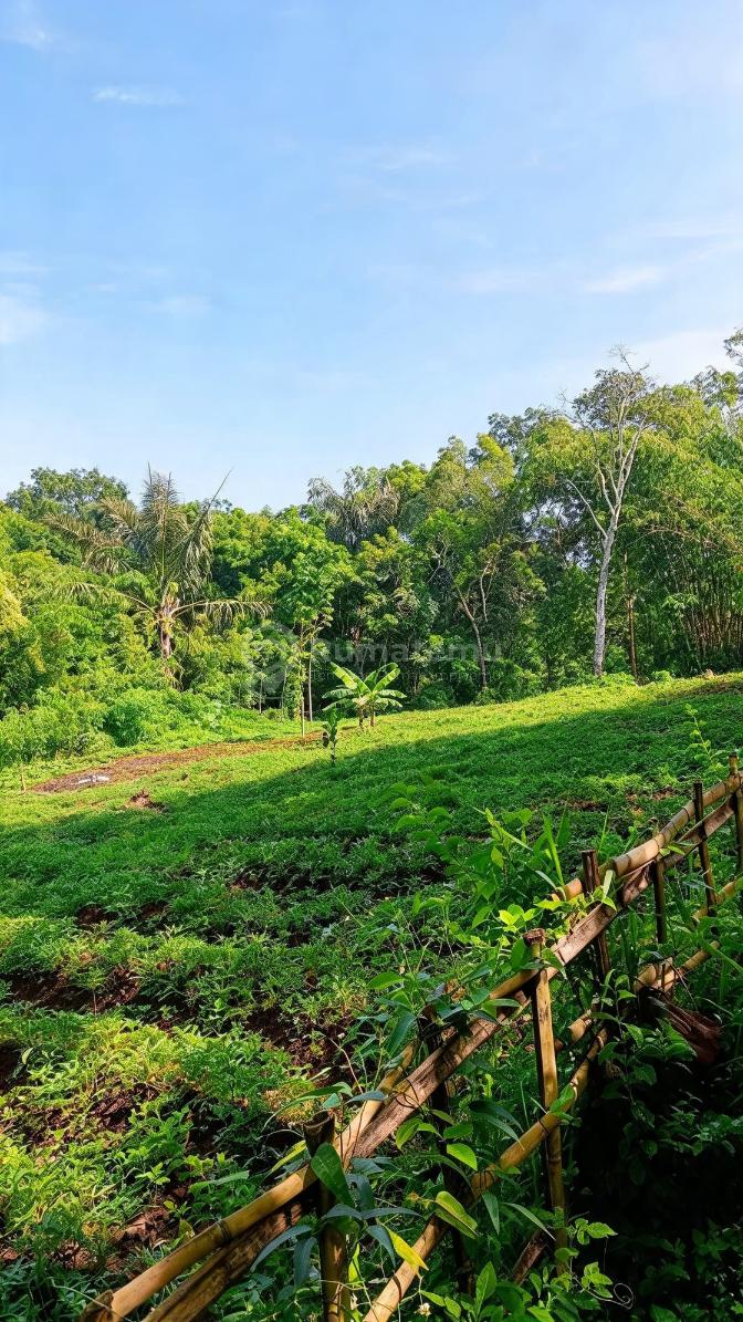 Dijual Tanah Luas Strategis di Cimanggung Sumedang – Udara Sejuk & Lin
