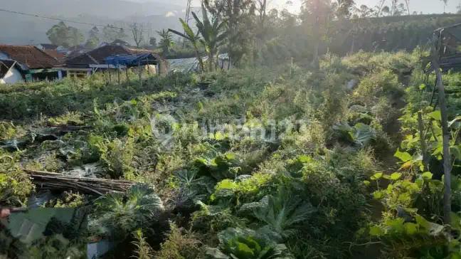 Dijual Tanah di Kawasan Wisata Darajat Garut