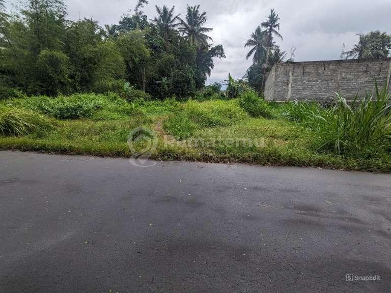 Tanah Apik Tepi Jalan 895m² Lebar 22m SHM Trimulyo Sleman 150m Jl Raya Turi 3 Menit Jl Raya Magelang Jogja