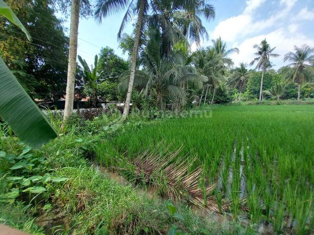 TANAH DIJUAL 
