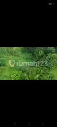 Jual Murah Kavling Cocok Untuk Restoran Dll Di Jl. Pondok Rajeg Cibinong