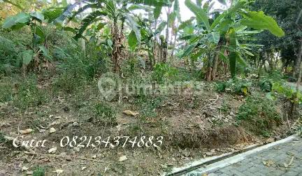 Tanah Dijual Dekat Greenwood Estate Semarang, Harga 350 Ribuan