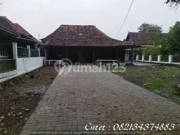 Rumah Disewakan Dalam Beteng, Kraton Yogya, LT 500M2