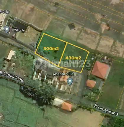 Ready For Sale Premium Location Land In Cemagi Badung Bali