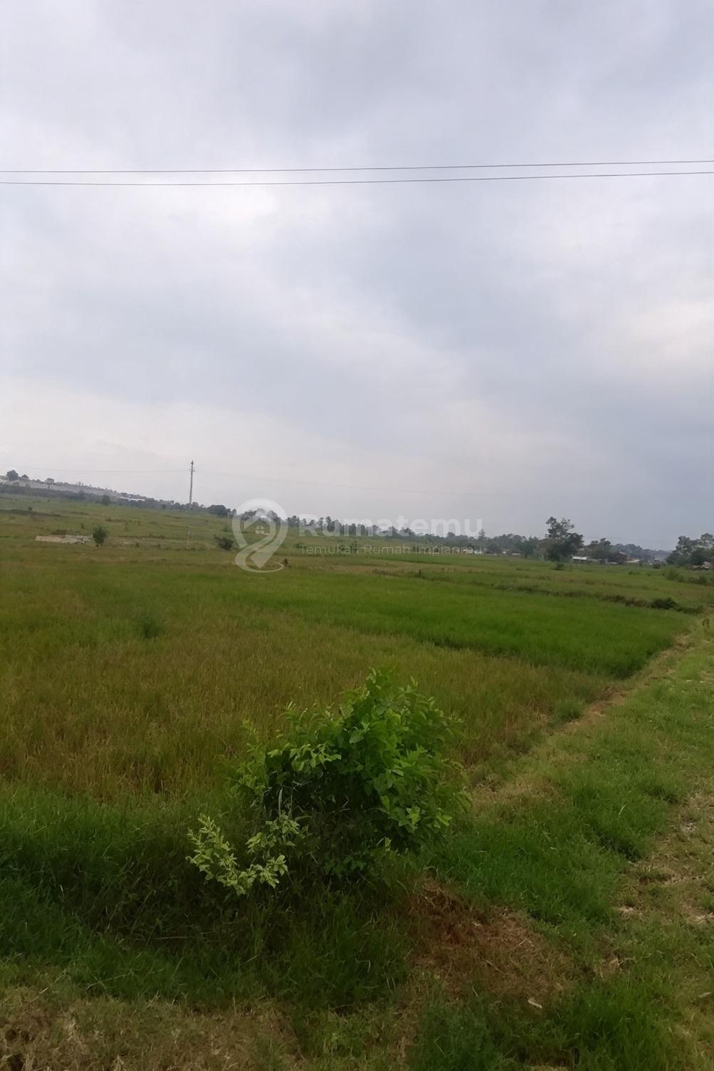 Subang-dekat Vinfast- Luas 4 Ha- Luasbisa Beli Sesuai Kebutuhan