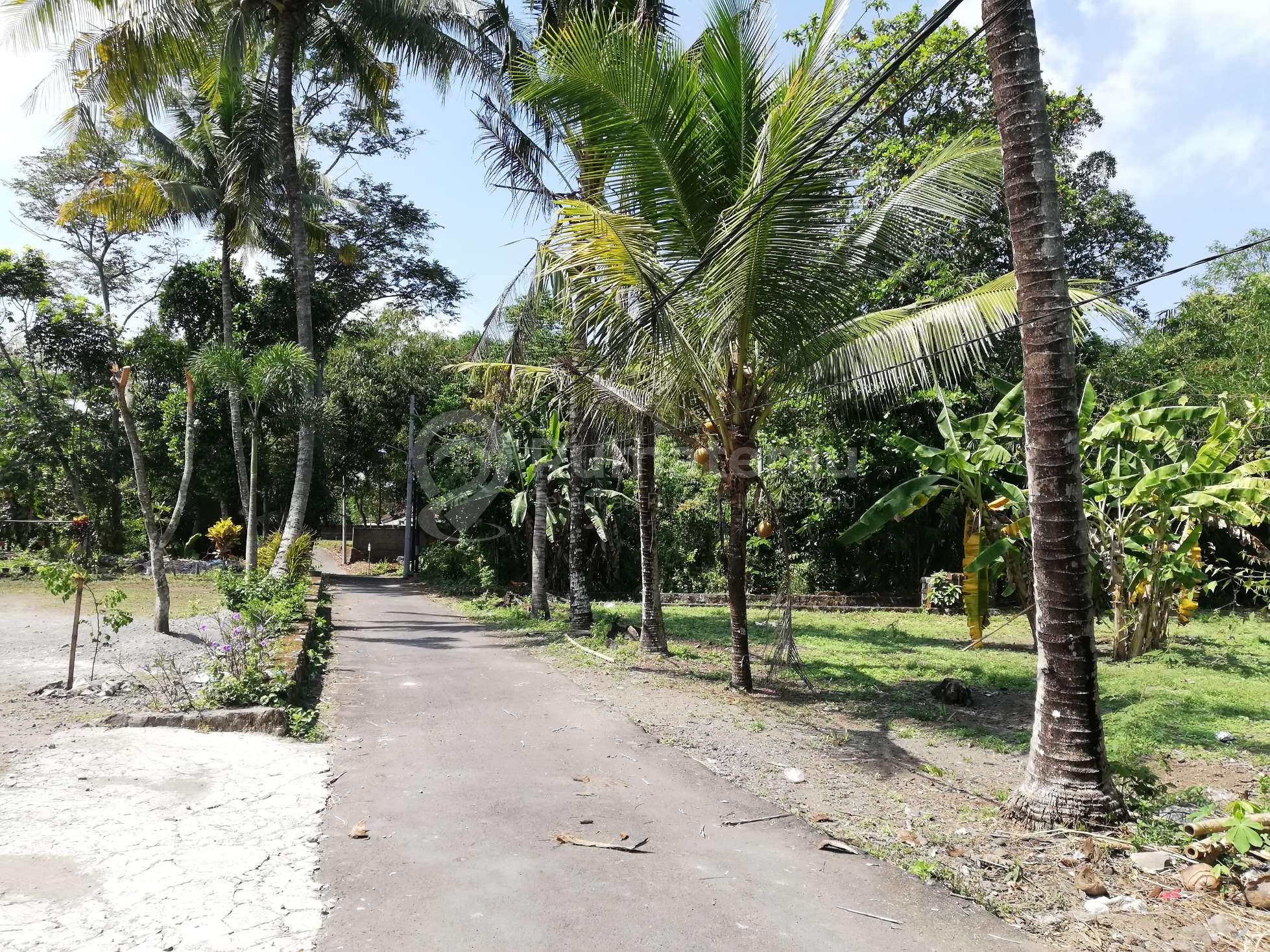 Tanah Apik Jl Kaliurang Km 13 Jangkang Widodomartani Ngemplak Sleman SHM 2 Menit Pasar Jangkang 10 Menit UII