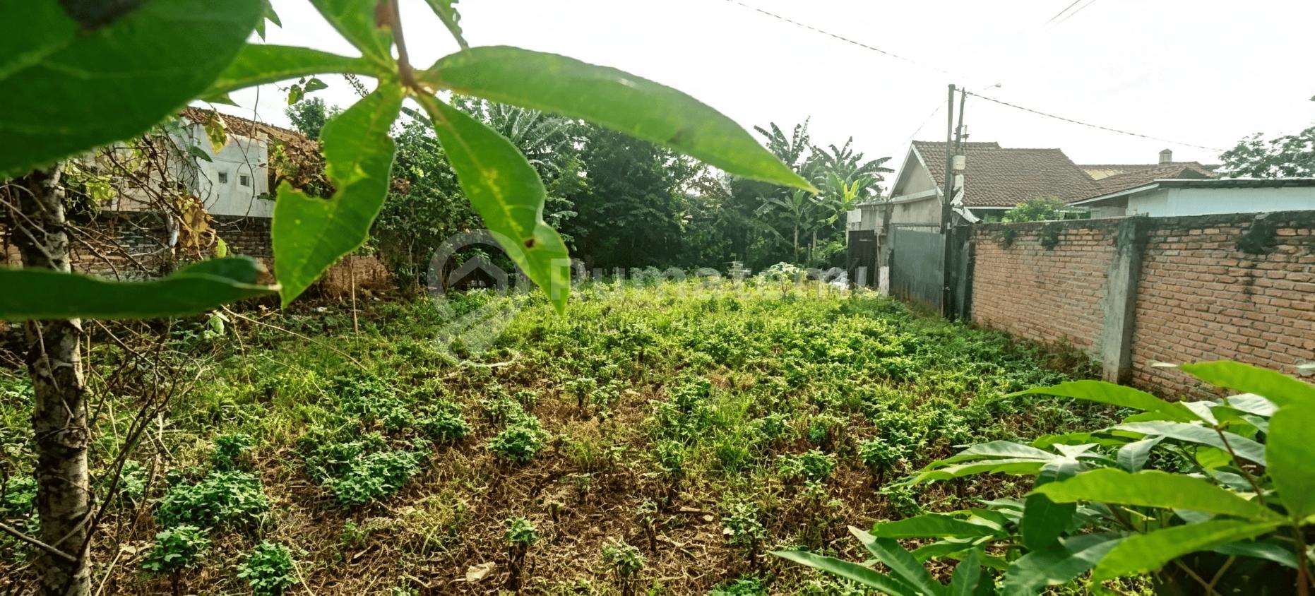 Jual KAMPUNG BULAK JANGKRIK, PABUARAN, PARUNG, KECAMATAN KEMANG, KABUPATEN BOGOR, JAWA BARAT