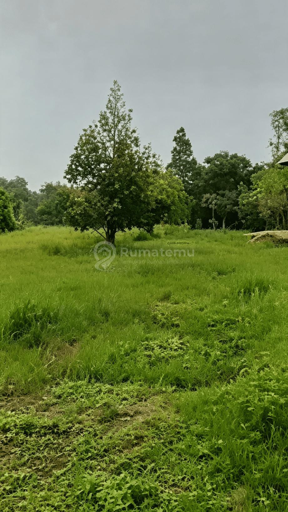 Balaraja Nempel Tigaraksa [Tanah]:, 4,5Ha- Jalan Utama