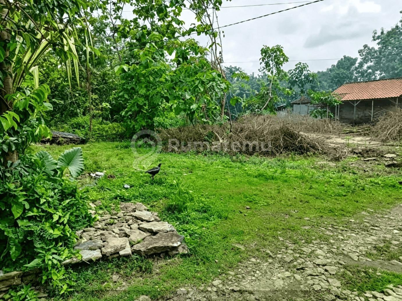 Dijual tanah di Pajangan Bantul dekat Bakal Kampus UIN, cocok untuk usaha kost