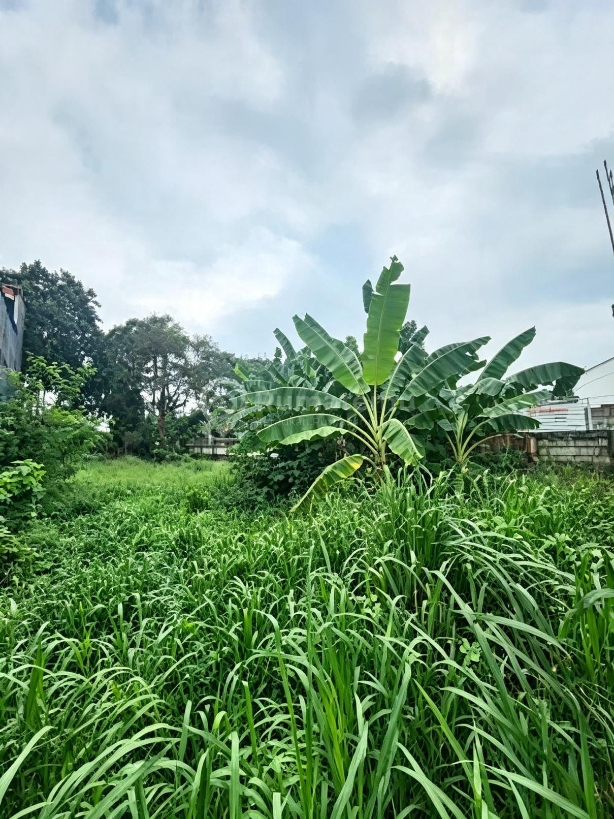 Dijual Tanah di Jelupang Serpong Tangerang Selatan
