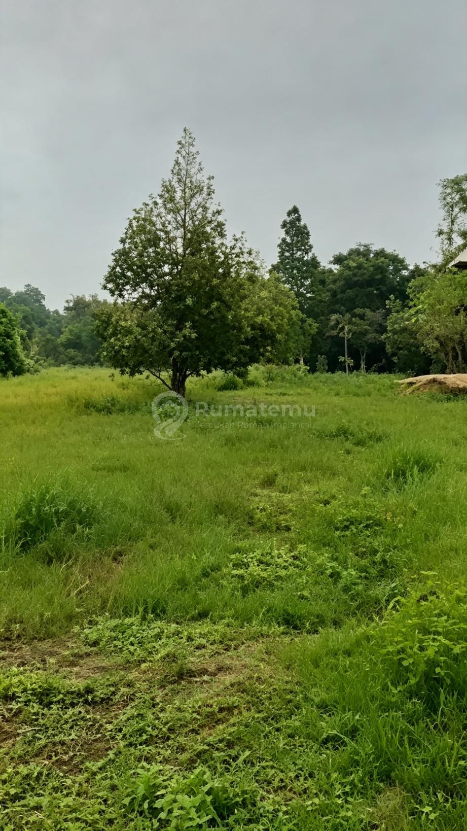 Balaraja Nempel Tigaraksa [Tanah]:Jarak ke Tol Balaraja Timur 5Km