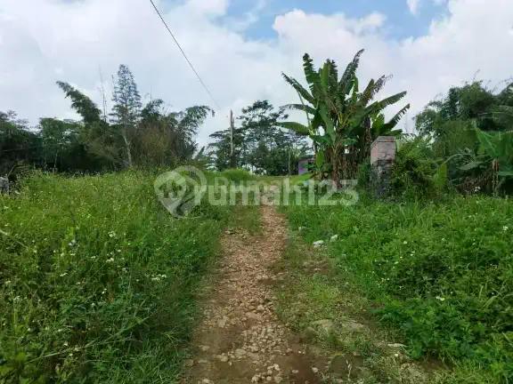 Tanah Luas Dijual di Tampingan, Boja, Kendal, Jawa Tengah, LT 3-5 Ha