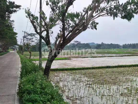 Tanah Serang Banten 2 Kilometer dari Pintu Tol harga Murah bisa beli sebagian