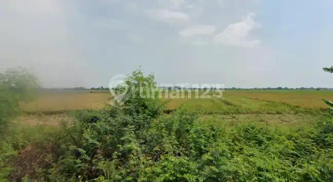 Bekasi [Tanah] :Sukawangi-Jl.Sukatenang 150 HA-UTK PERUMAHAN