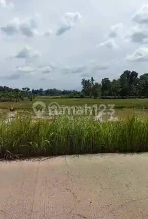 Tenjo Bogor-Kec Batok[Tanah]:Pinggir Jalan-Tenjo-20 Sd 200Ha-Perum
