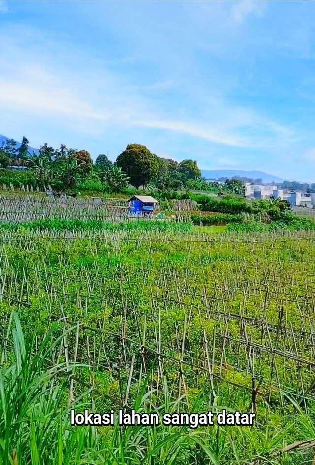 Dijual Tanah 7.200 M² SHM di Pakuhaji Ngamprah Kab. Bandung Barat