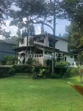 Villa Megah 1000 Meter dan 8 Pohon Durian di Ciawi Puncak