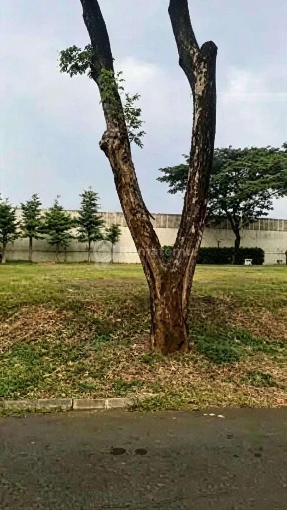 Dijual Kavling di Kawasan Premium Gading Serpong The Spring Cluster Scarlet