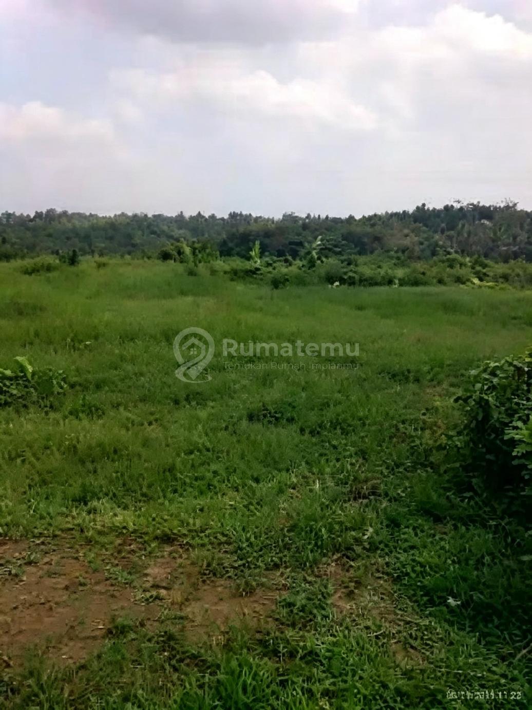 Dijual Tanah Siap Pakai Bisa Dibangun Villa/resort/hotel/kantor/taman Wisata Dll Di Pandeglang Banten