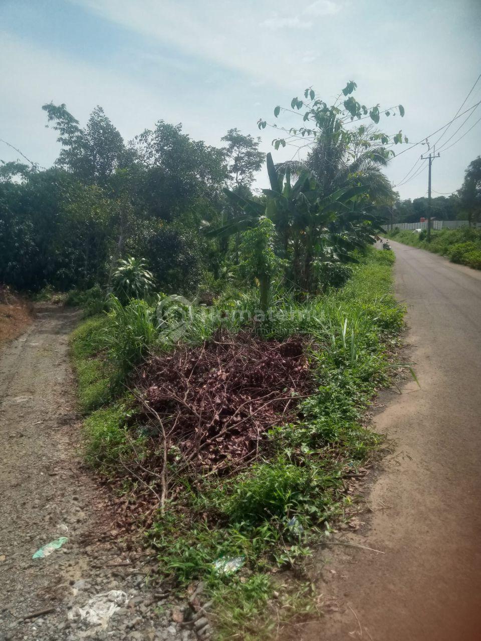 Tanah 1000m pinggir jl.raya setu tipar jasinga bogor