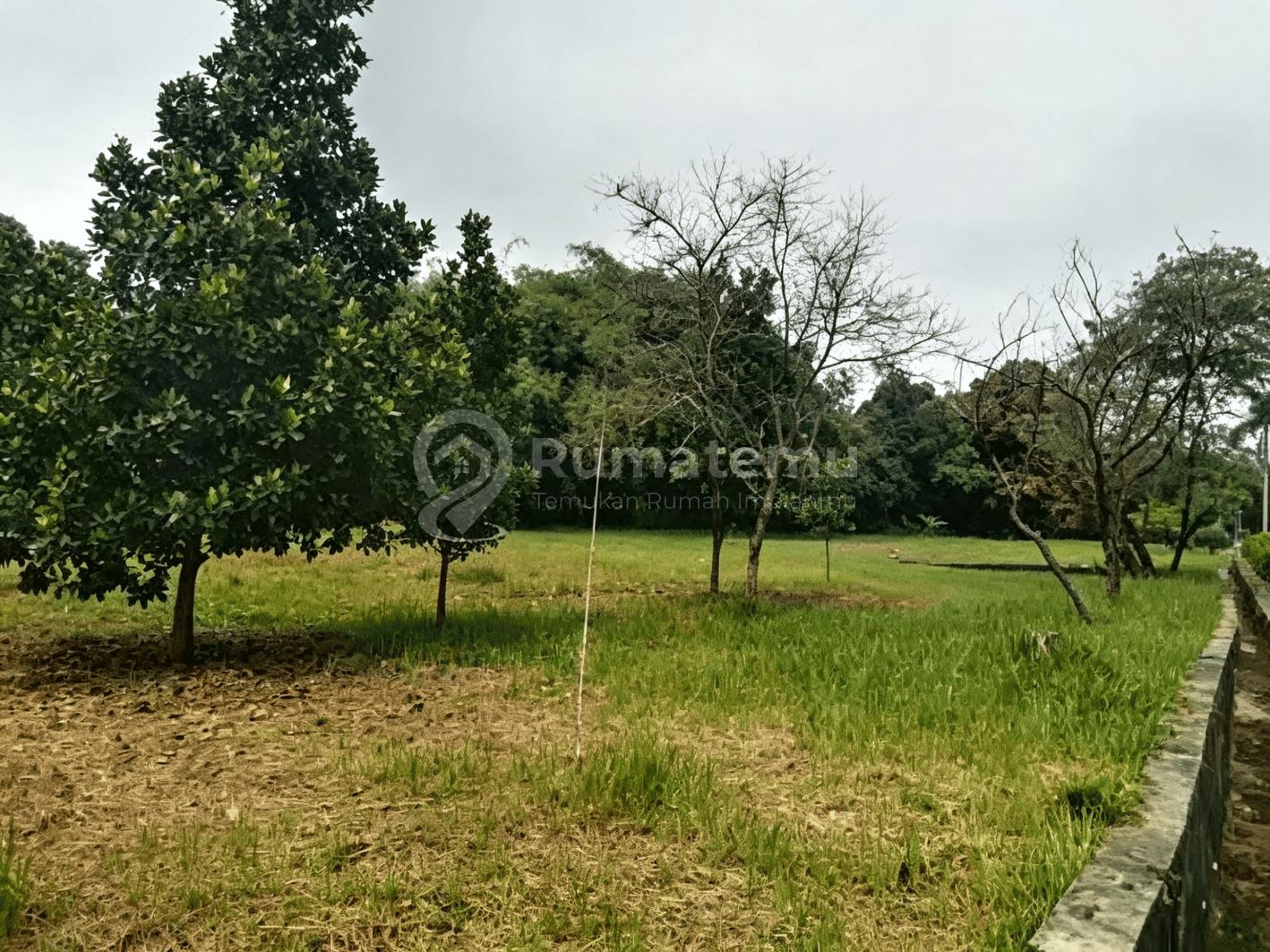 Disewakan Kavling Tanah Kawasan Industri Tigaraksa Tgrg
