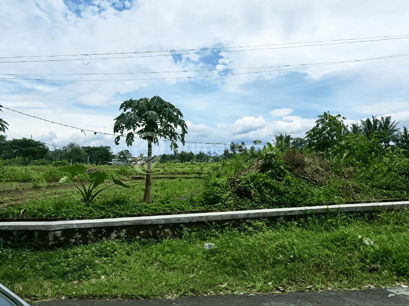 Tanah Dijual, View Sawah & Merapi di Mororejo, Tempel, Sleman