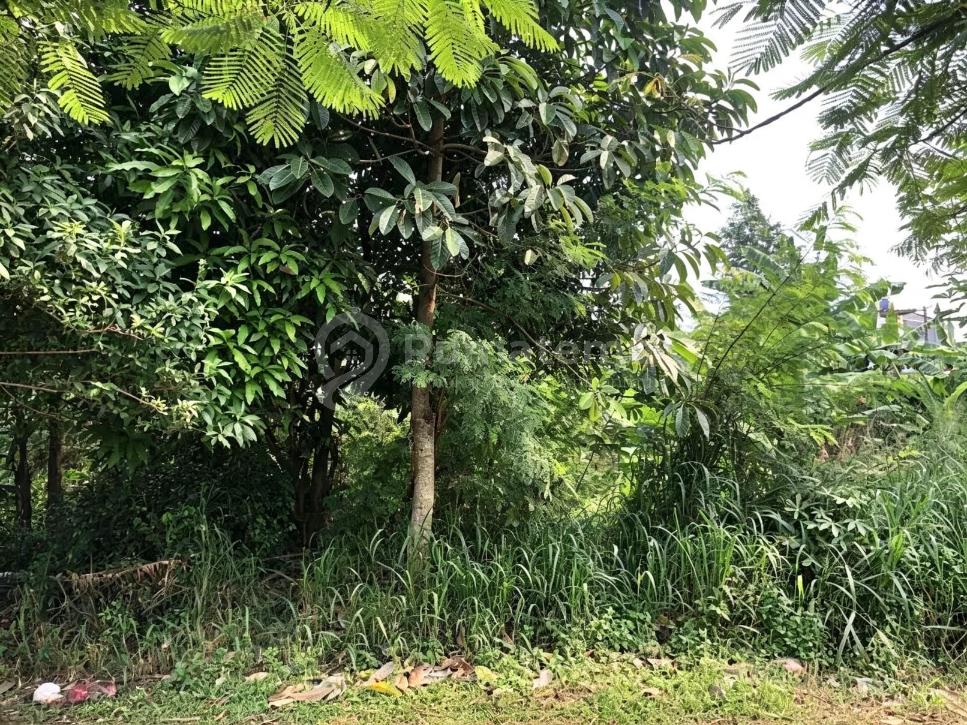 Kavling Murah Dekat Stasiun Jurang Mangu Bintaro