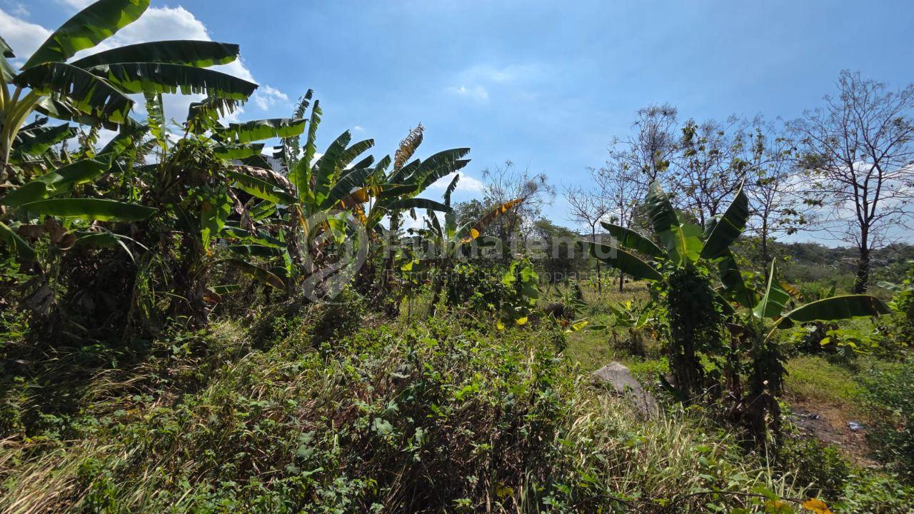 Tanah Siap Bangun Lokasi Strategis Pinggir Jalan di Bulusan Tembalang Semarang
