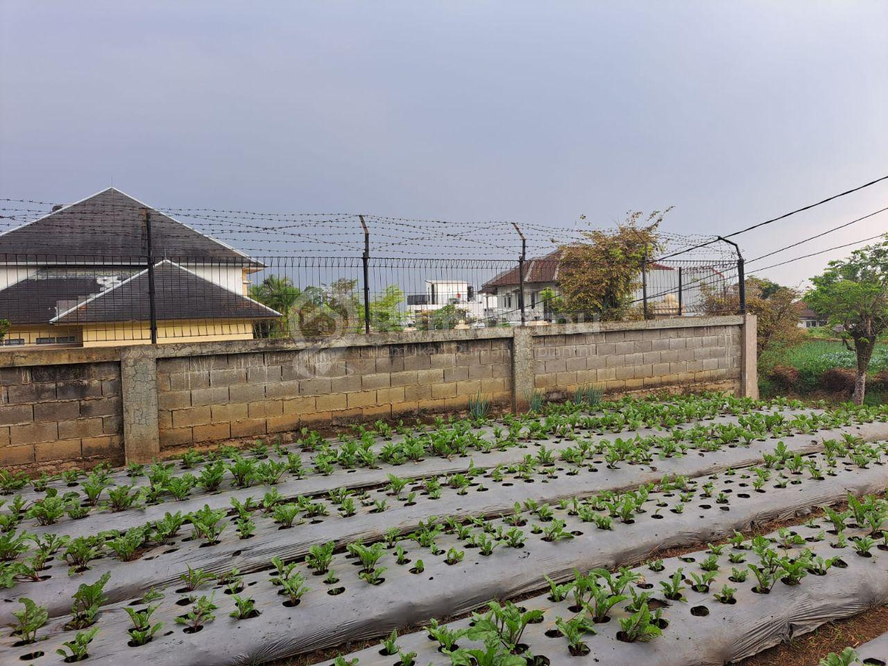 Dijual Murah Tanah Kavling di Setiabudi Regency Bandung
