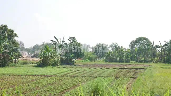 Special Offer Tanah Strategis 9 Hektar di Cileungsi
