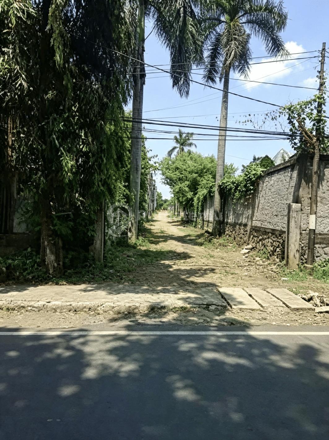 Jagakarsa [Tanah]: Langka - Hadap 2 Muka Jalan - Luas 4.3Ha