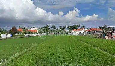 Ready For Leasehold Premium Location Land In Seseh Badung Bali