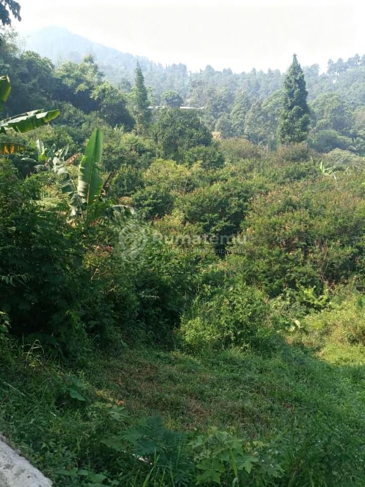 Dijual tanah pinggir sungai di Megamendung puncak bogor 