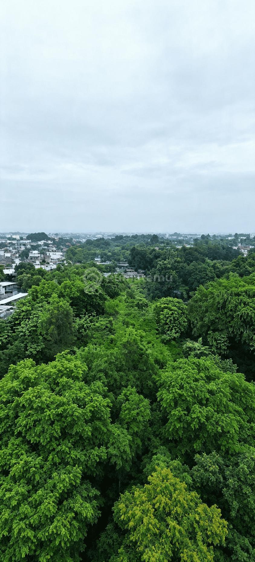 Jual Murah Kavling Cocok Untuk Restoran Dll Di Jl. Pondok Rajeg Cibinong