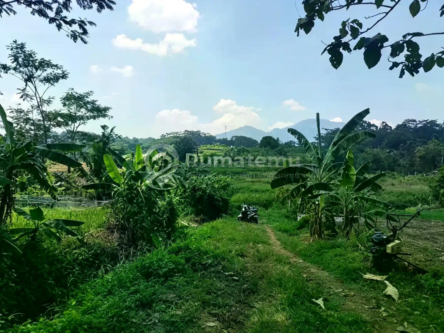 Tanah dijual, di Semarang cocok untuk outbond & wisata alam