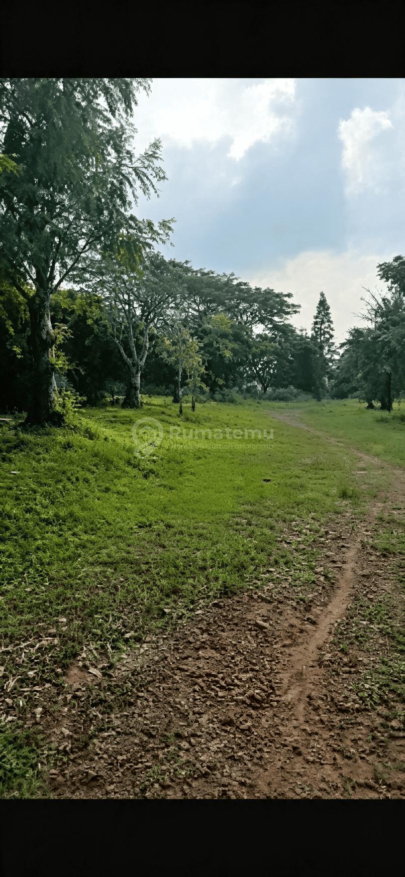 Jual Murah Tanah Pinggir Jalan Raya Area Industri