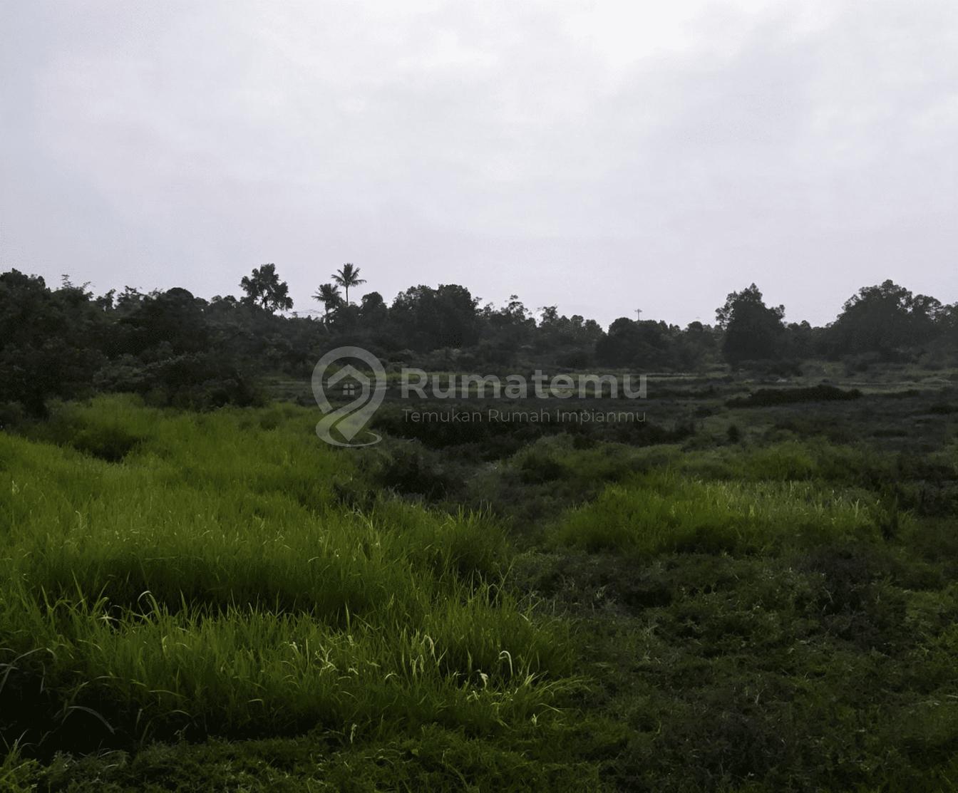 Jual Tanah Siap Bangun Dikawasan Tristate Cikupa Tangerang