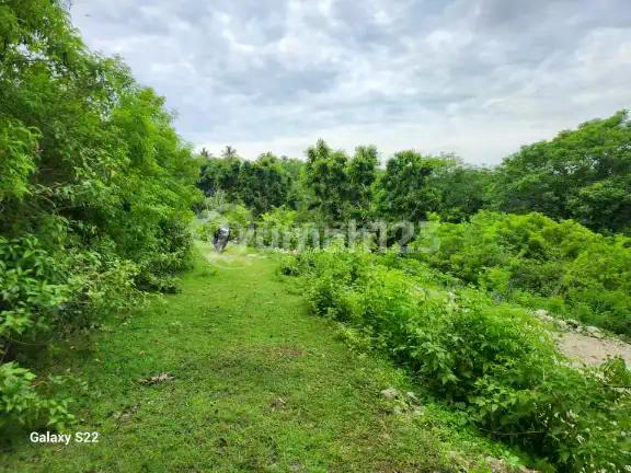 Lahan Premium Full View Siap Bangun di Nusa Penida Bali