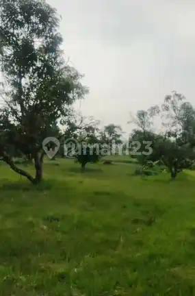 Balaraja Nempel Tigaraksa [Tanah]:, 4,5Ha- Jalan Utama