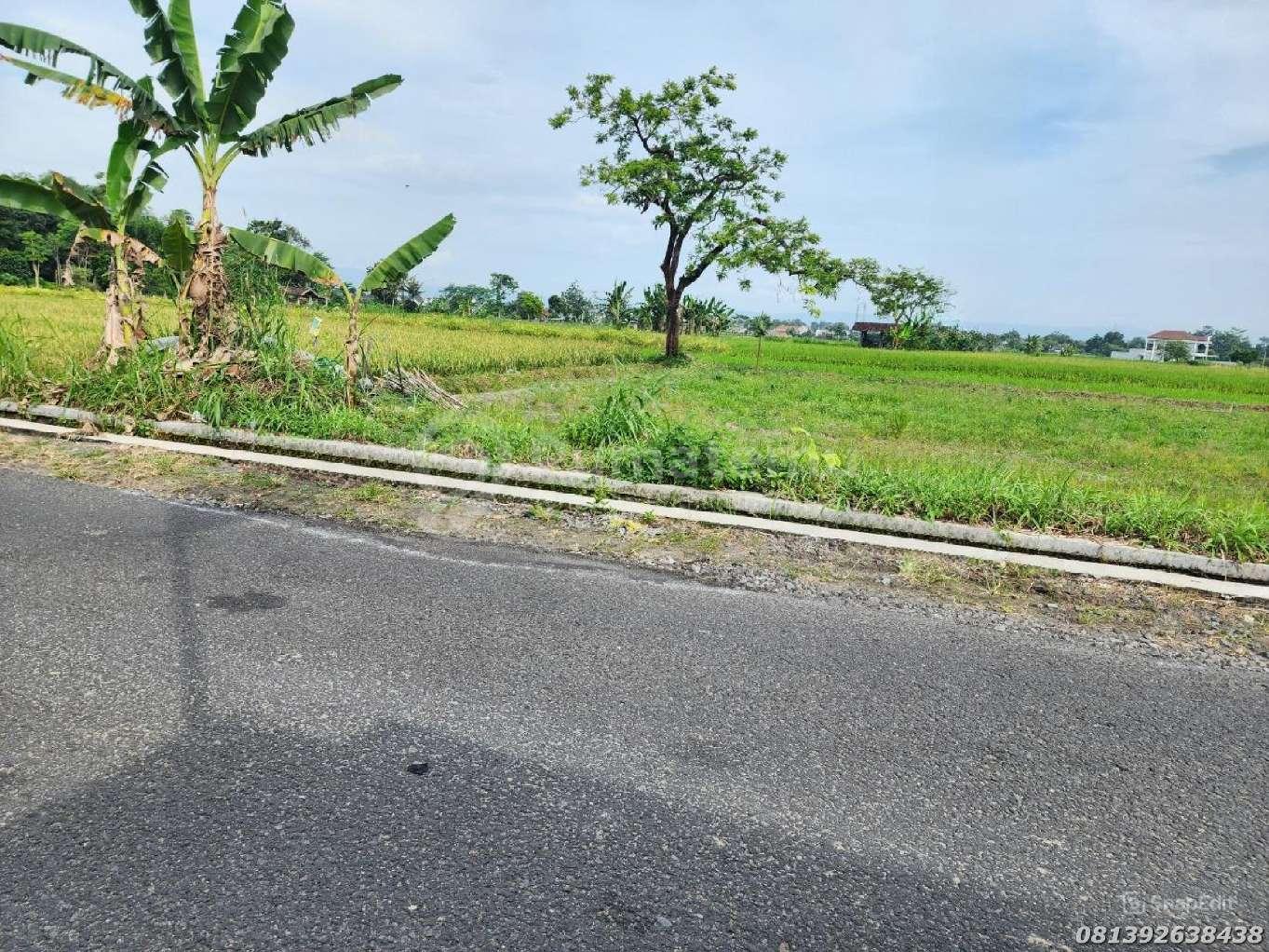 Tanah SHM Pekarangan Tepi Jalan Raya Sambiroto Purwomartani Jogja