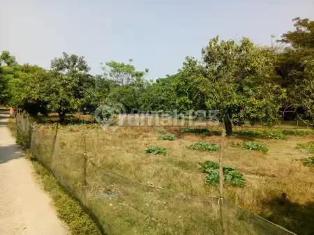 Banting Harga Dijual Tanah di Jalan Pakisjaya Karawang 4.950 M2