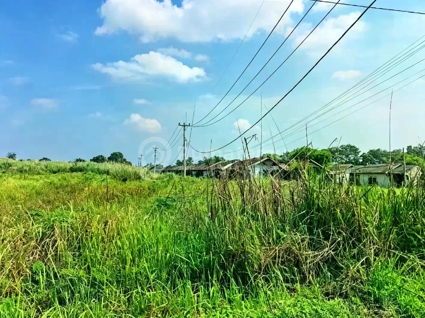 Tanah Murah Cileungsi Jauh Dibawah NJOP