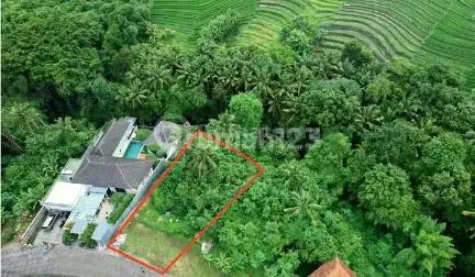 Lahan Premium Siap Bangun di Kedungu Bali Murah Meriah
