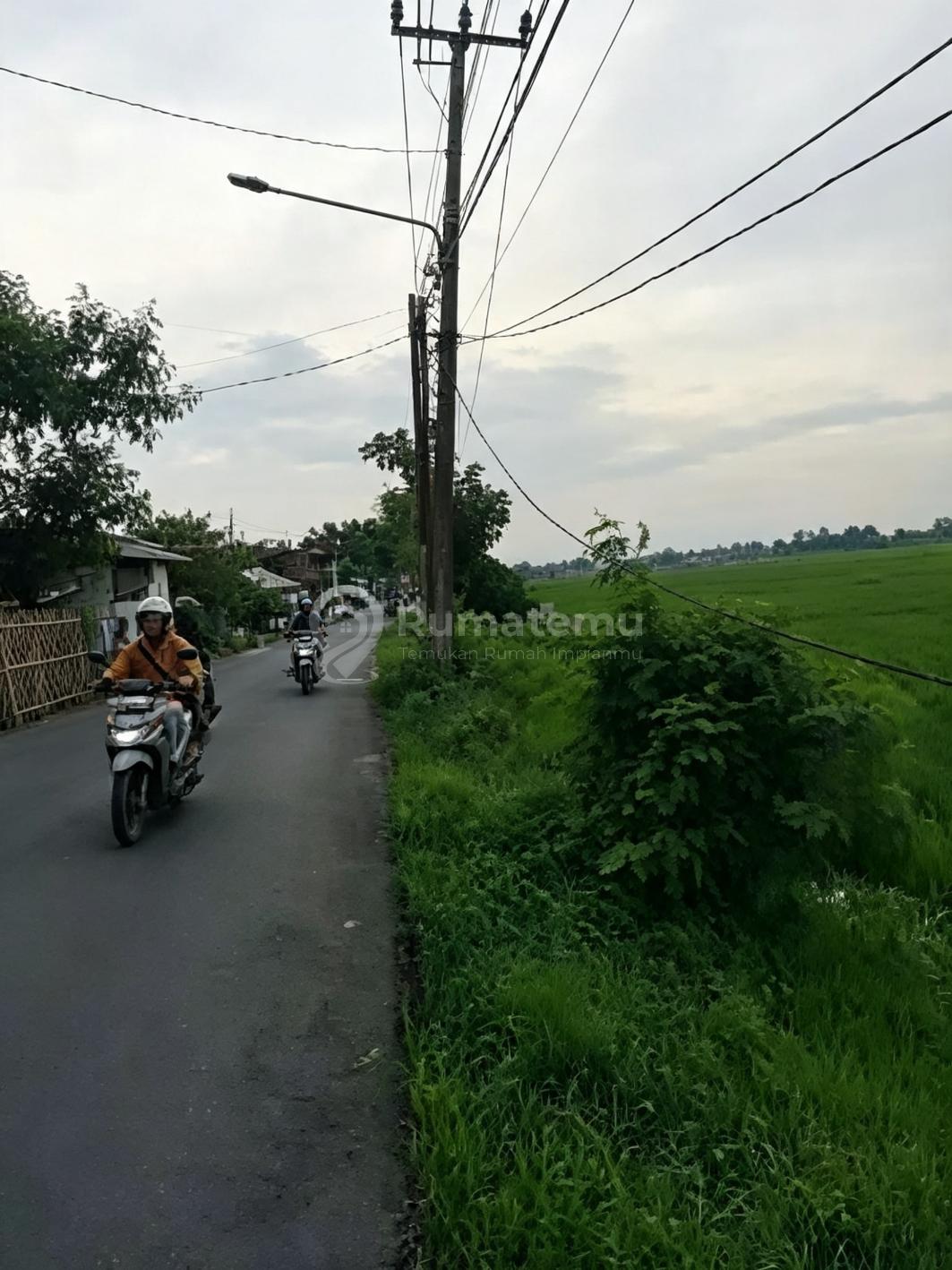Cikarang Timur Bekasi [Tanah]:Luas 100-300Ha-Struktur Sawah Padat