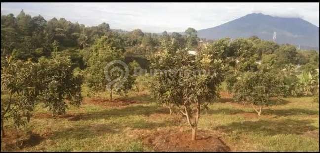 Di jual tanah pasir angin gn geulis sukaraja bogor