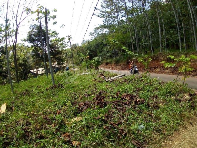 Banyak Orang Belum Tahu Lahan Ini